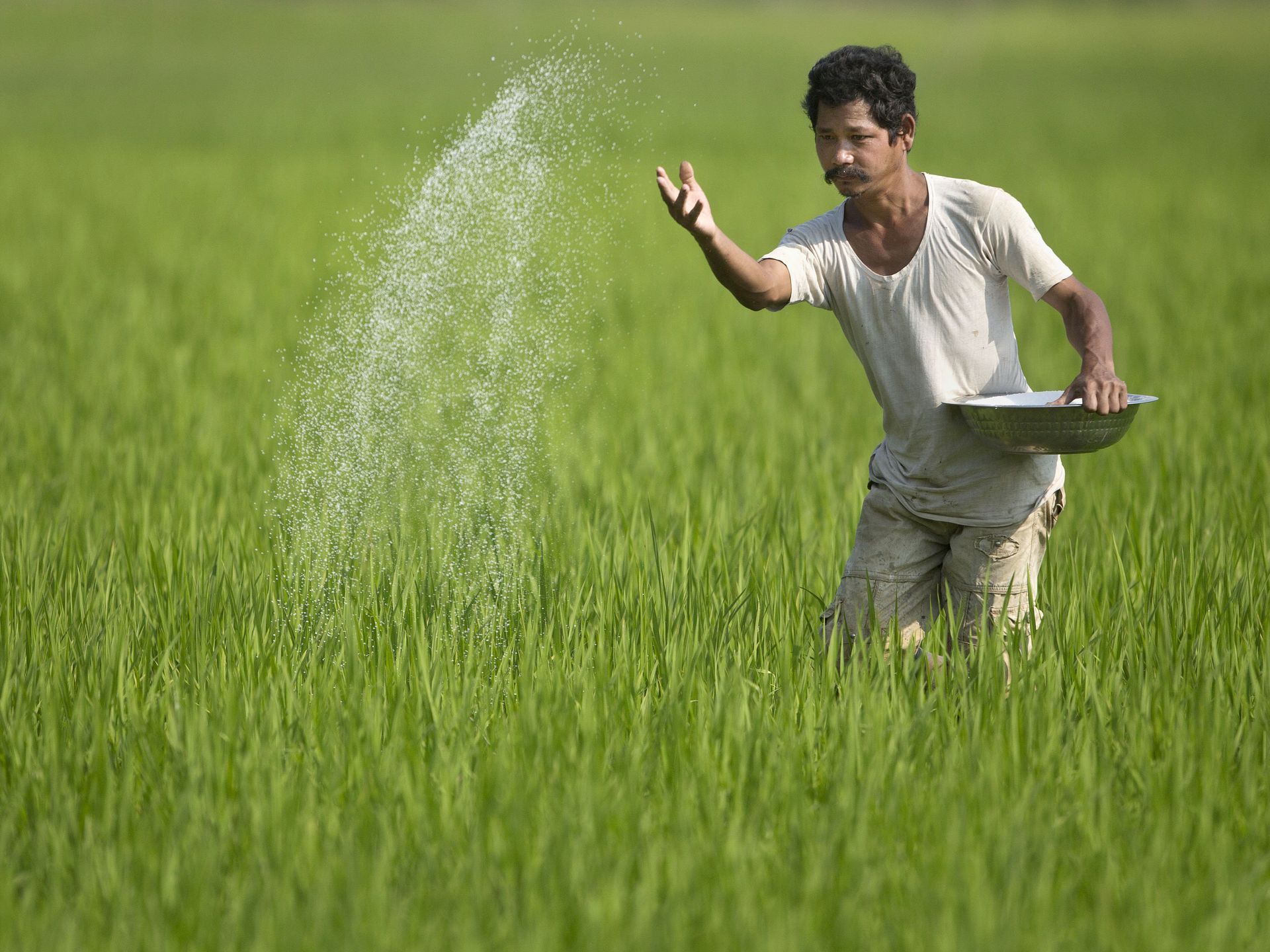 man smiling at camera with his produce